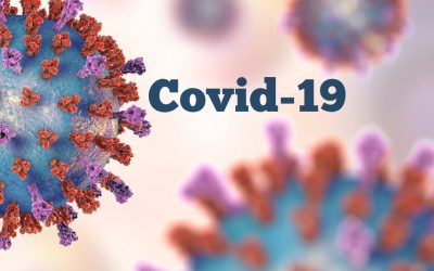 Navigating COVID-19 & Your Immune System