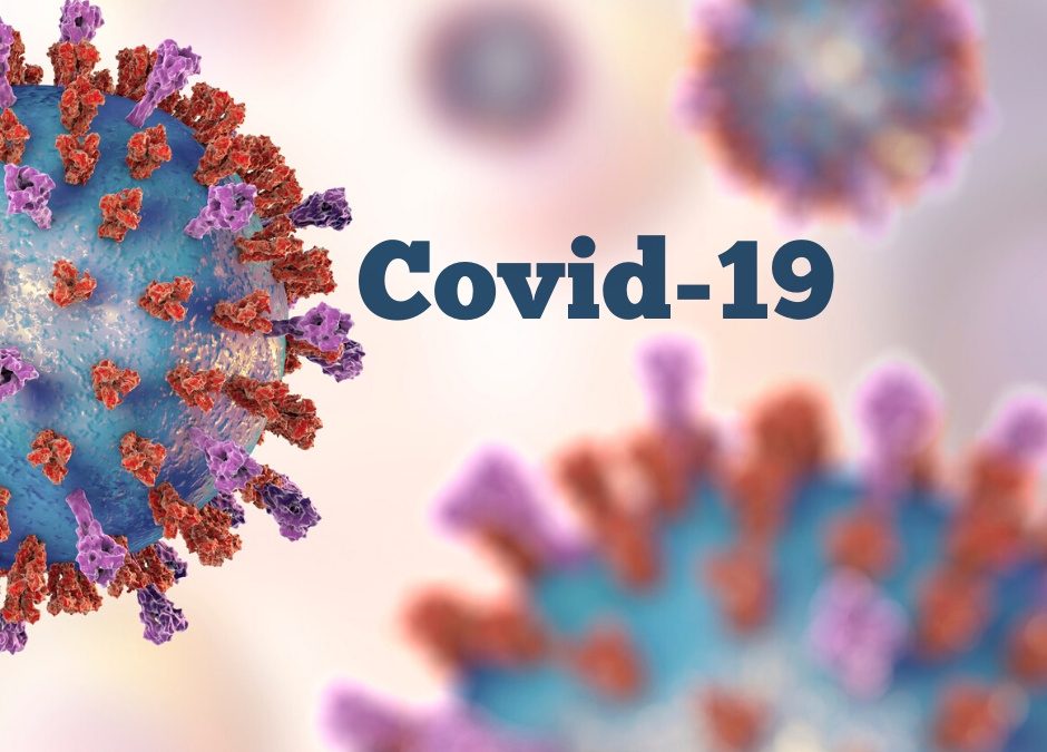 Navigating COVID-19 & Your Immune System